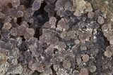 Sparkly Purple Botryoidal Grape Agate - Indonesia #370423-1